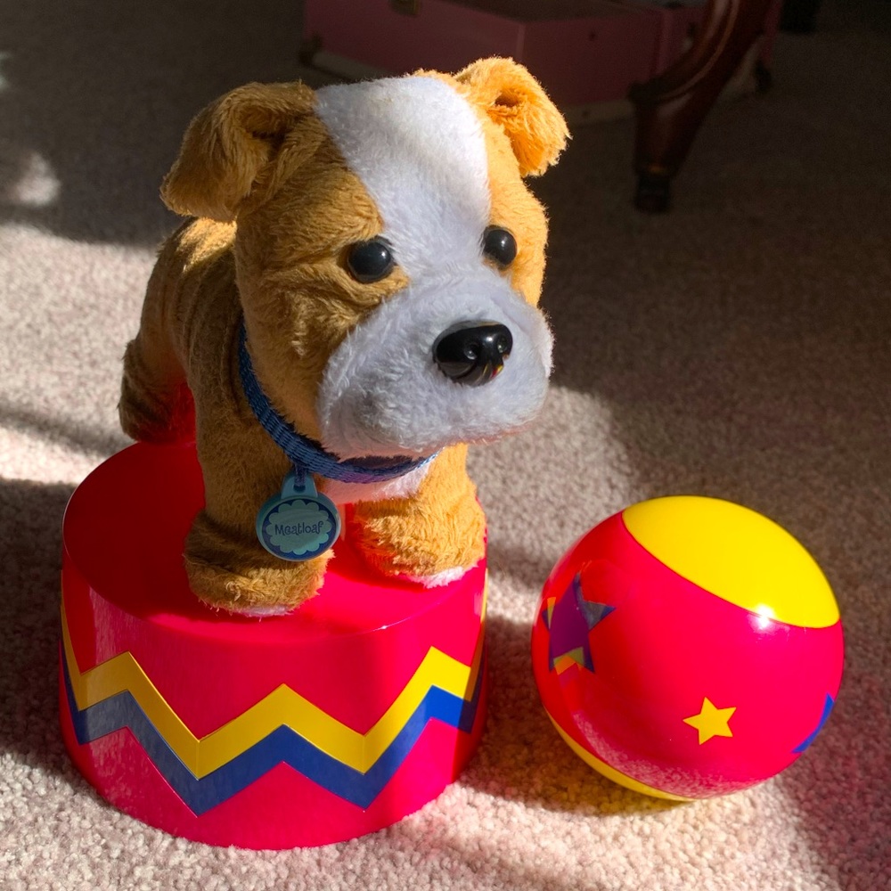 American Girl Meatloaf Dog w/ Circus Set
